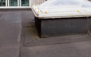 disadvantages of Castlecary flat roofs